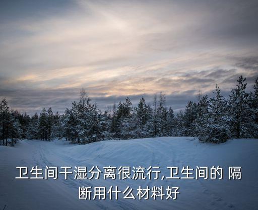 亞陶衛(wèi)浴隔斷裝修圖片