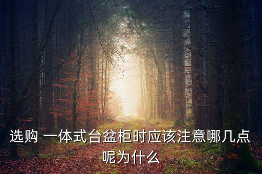 選購(gòu) 一體式臺(tái)盆柜時(shí)應(yīng)該注意哪幾點(diǎn)呢為什么