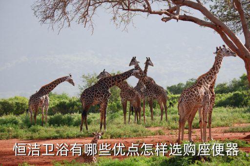  恒潔衛(wèi)浴有哪些優(yōu)點(diǎn)怎樣選購(gòu)座便器