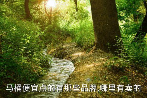 馬桶便宜點(diǎn)的有那些品牌,哪里有賣的