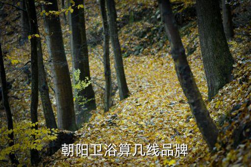 華藝衛(wèi)浴西峽店電話