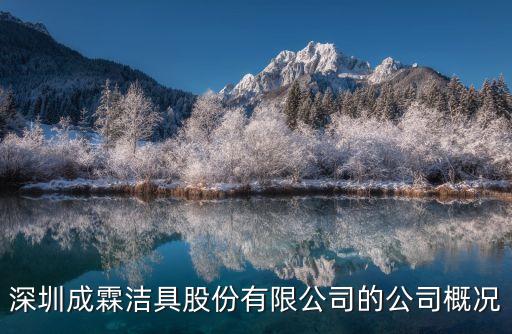 深圳成霖潔具股份有限公司的公司概況