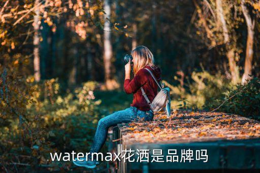 watermax花灑是品牌嗎