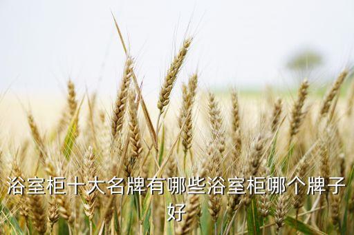 浴室柜十大名牌有哪些浴室柜哪個(gè)牌子好