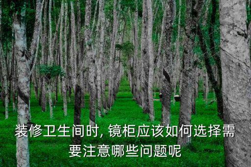 裝修衛(wèi)生間時(shí), 鏡柜應(yīng)該如何選擇需要注意哪些問題呢