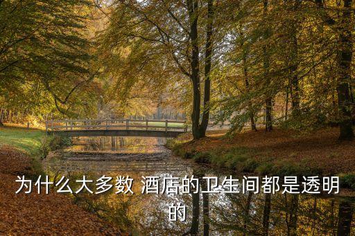 為什么大多數(shù) 酒店的衛(wèi)生間都是透明的