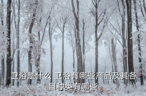  衛(wèi)浴是什么 衛(wèi)浴有哪些產(chǎn)品及其各自種類有哪些