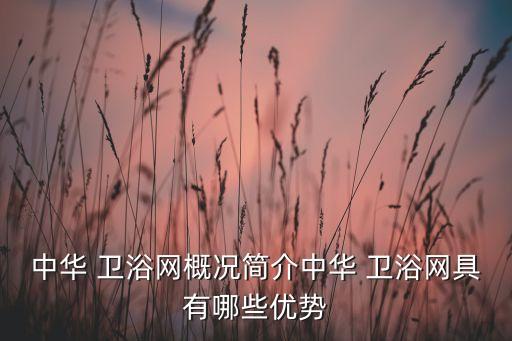中華 衛(wèi)浴網(wǎng)概況簡介中華 衛(wèi)浴網(wǎng)具有哪些優(yōu)勢