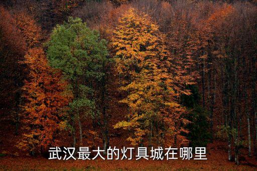 武漢最大的燈具城在哪里