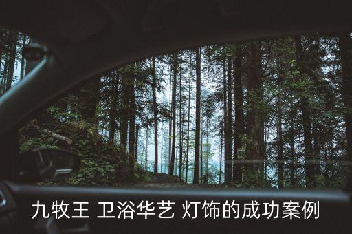 九牧王 衛(wèi)浴華藝 燈飾的成功案例