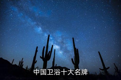 中國(guó)衛(wèi)浴十大名牌