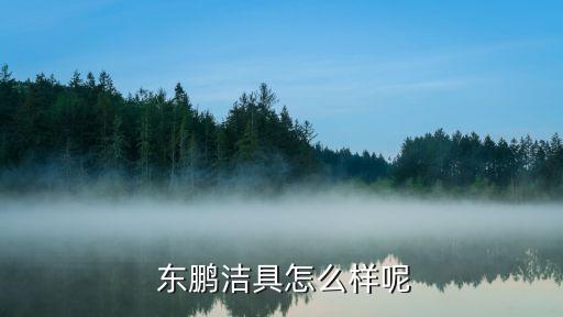  東鵬潔具怎么樣呢