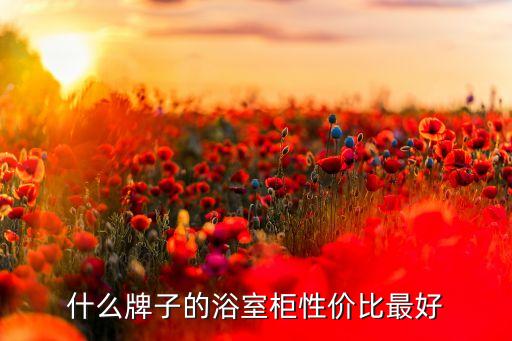 什么牌子的浴室柜性價比最好