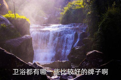 衛(wèi)浴都有哪一些比較好的牌子啊
