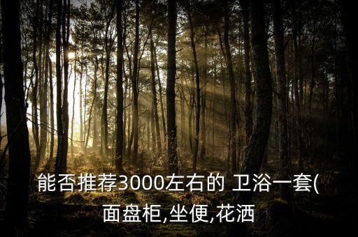 能否推薦3000左右的 衛(wèi)浴一套(面盤柜,坐便,花灑