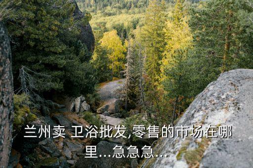  蘭州賣(mài) 衛(wèi)浴批發(fā),零售的市場(chǎng)在哪里...急急急...
