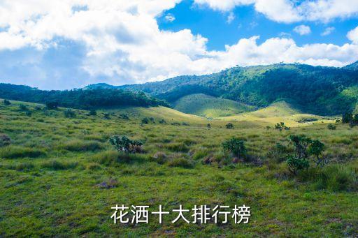 衛(wèi)浴花灑千元品牌,國產(chǎn)衛(wèi)浴花灑品牌排行榜前十名