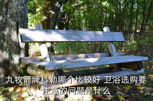 美樂(lè)思衛(wèi)浴掛件品牌簡(jiǎn)介,德國(guó)美樂(lè)恩衛(wèi)浴是個(gè)品牌嗎