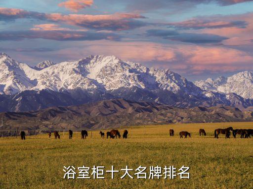 貴州哪個(gè)品牌衛(wèi)浴柜好,樂家衛(wèi)浴是哪個(gè)國家的品牌
