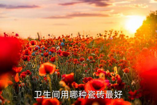 衛(wèi)浴地面用什么磚好呢圖片