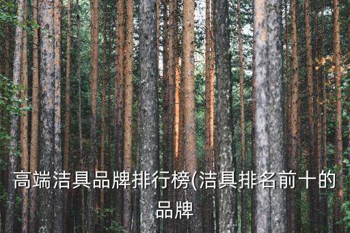 高端潔具品牌排行榜(潔具排名前十的品牌