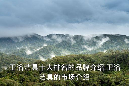  衛(wèi)浴潔具十大排名的品牌介紹 衛(wèi)浴潔具的市場介紹