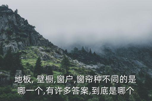 地板, 壁櫥,窗戶,窗簾種不同的是哪一個,有許多答案,到底是哪個