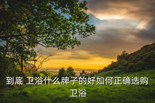 到底 衛(wèi)浴什么牌子的好如何正確選購 衛(wèi)浴