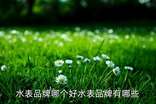 水暖衛(wèi)浴十大名表推薦品牌