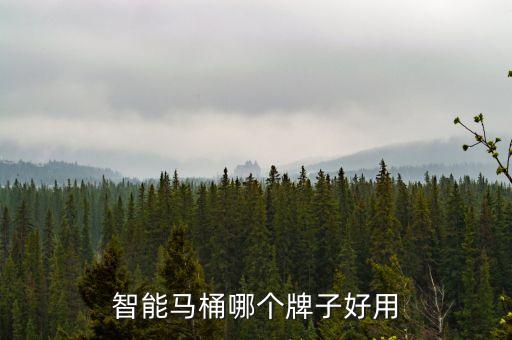 智能馬桶哪個(gè)牌子好用