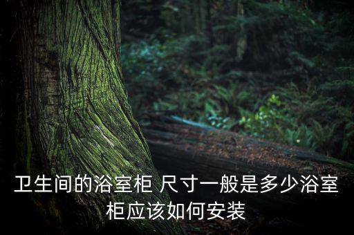 開放式衛(wèi)浴尺寸圖片大全