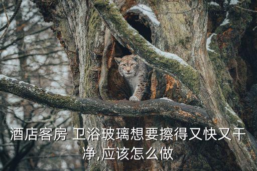 白色衛(wèi)浴怎么清潔的圖片