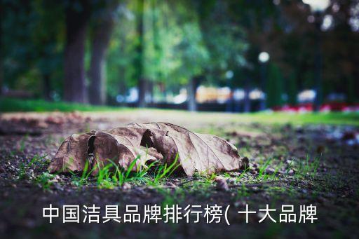 成佳衛(wèi)浴是十大品牌嗎