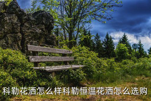 科勒花灑怎么樣科勒恒溫花灑怎么選購(gòu)