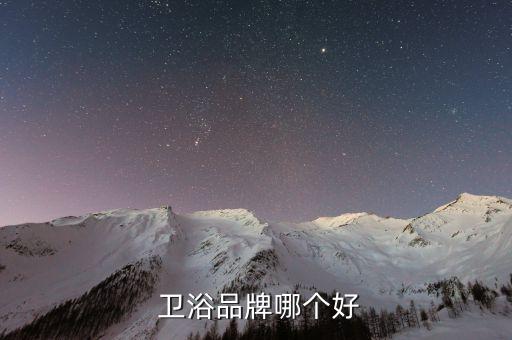  衛(wèi)浴品牌哪個(gè)好