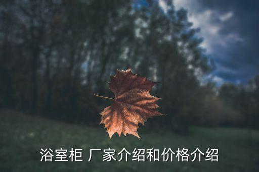 浴室柜 廠家介紹和價(jià)格介紹