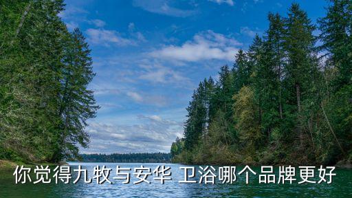 你覺(jué)得九牧與安華 衛(wèi)浴哪個(gè)品牌更好