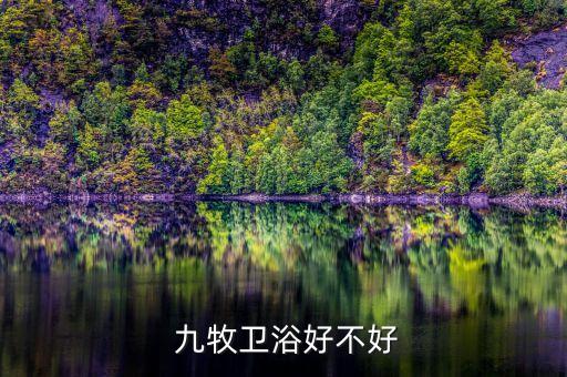  九牧衛(wèi)浴好不好