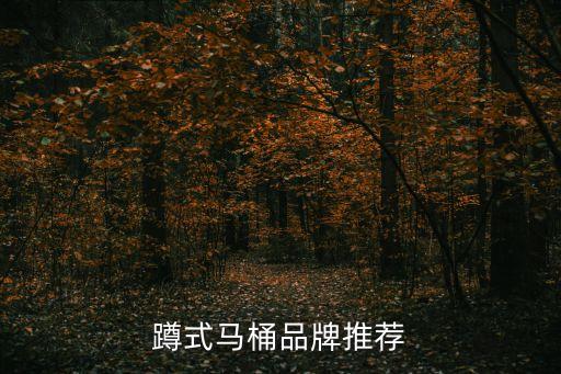 蹲式馬桶品牌推薦