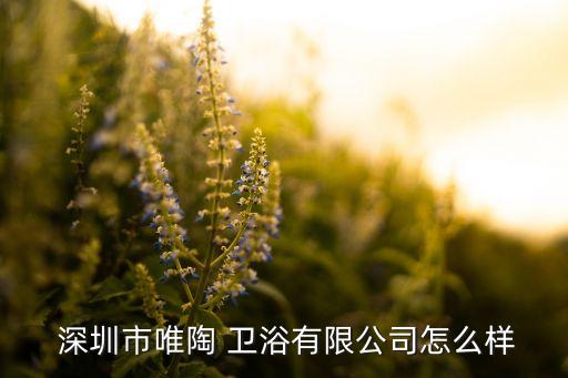 深圳衛(wèi)浴包裝廠家電話,深圳玻璃衛(wèi)浴五金廠家