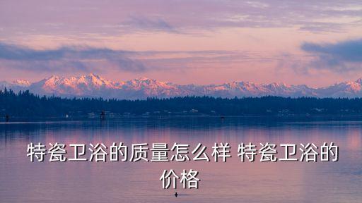 特瓷衛(wèi)浴算一線品牌嗎