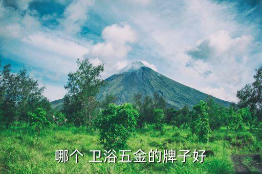 哪個(gè) 衛(wèi)浴五金的牌子好
