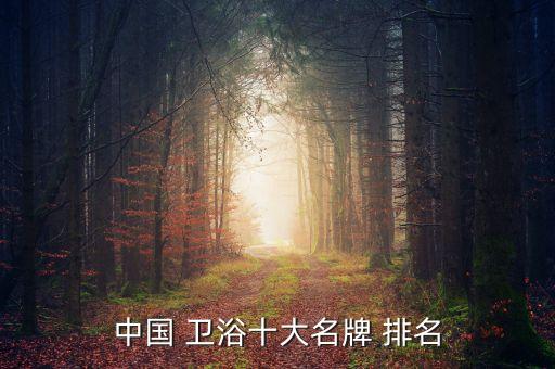 中國 衛(wèi)浴十大名牌 排名