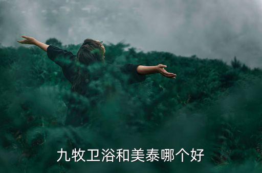 九牧衛(wèi)浴和美泰哪個好