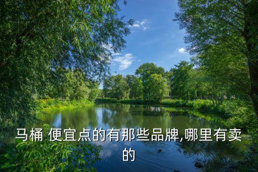 馬桶 便宜點的有那些品牌,哪里有賣的