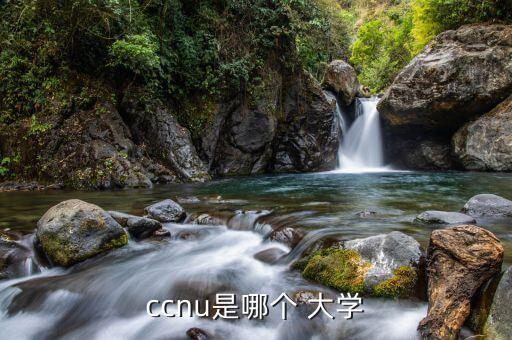ccnu是哪個 大學(xué)