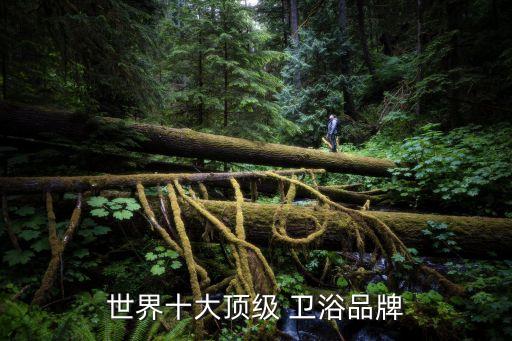 世界十大頂級 衛(wèi)浴品牌