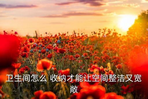 衛(wèi)浴轉(zhuǎn)角收納方法圖片