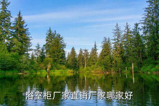 浴室柜廠家直銷廠家哪家好