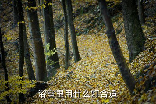 衛(wèi)浴燈光調(diào)節(jié)方法圖示圖片